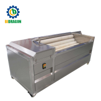 Potato&Carrot roller brush washing and peeling machine from 0.5 tons-5 tons per hour